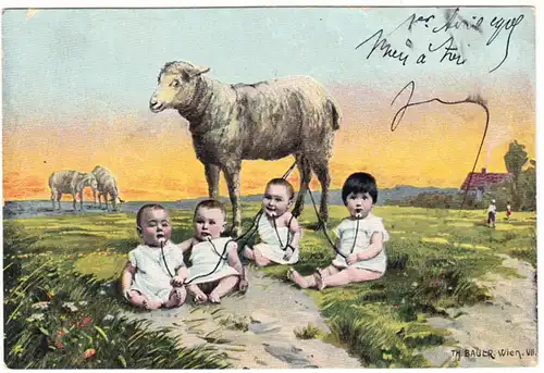 CPA Th. Bauer, Vienne, Les bébés boivent du lait de brebis, gel. 1905