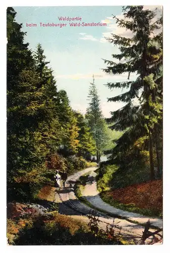 AK Waldpartie beim Teutoburger Wald, Sanatorium, gel. 1930