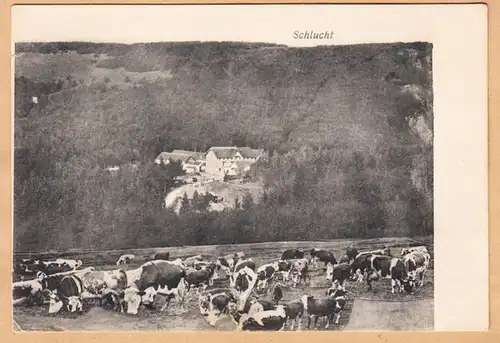 AK La Gorges, gel.1906