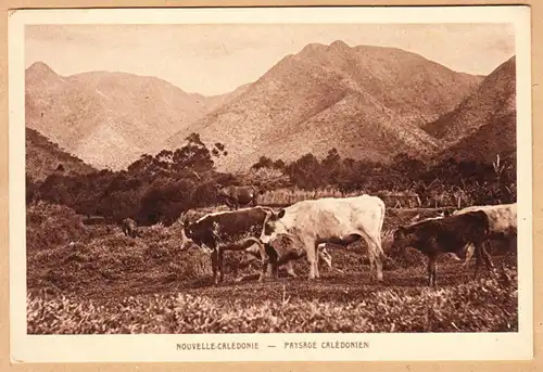 CPA Nouvelle Caledonie, Paysage Caladonien, ohn.