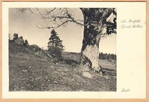 CPA Au Mordfeld, Grand Ballon, gel. 1930