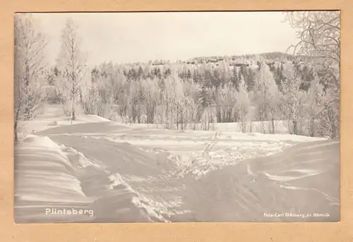 AK Plintsberg, Verschneite Landschaft, ungel.