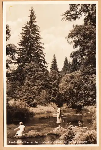 AK Landschaftsbilder an der Grabentour, Partie bei der Königsfichte, ungel.