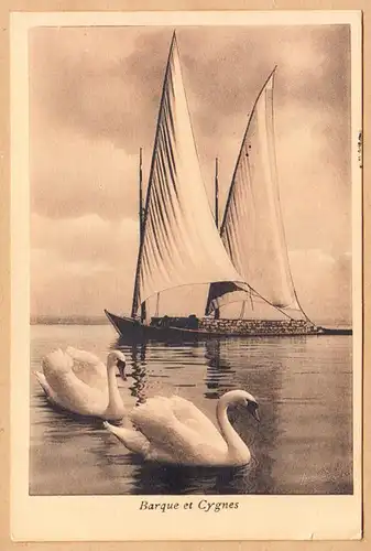 CPA Lac Leman, Barque Cygnes, gel. 1909