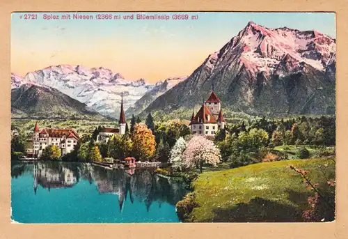 AK Spiez mit Niesen und Blüemlisalp, gel. 1921