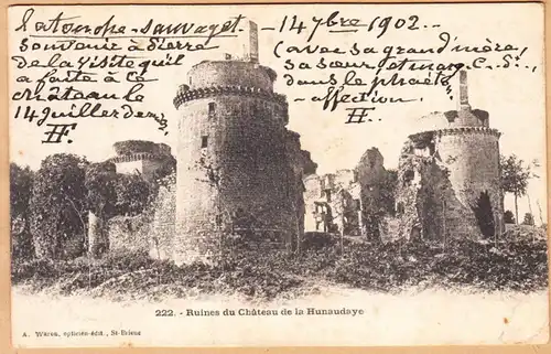 CPA Ruines du Chateau de la Hunaudaye, gel. 1902