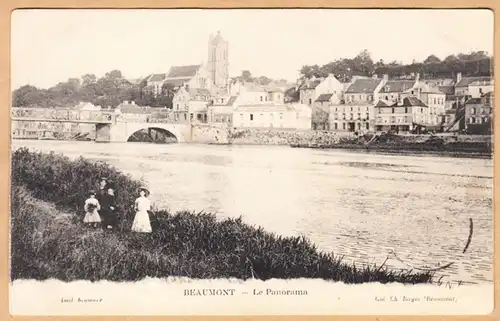 CPA Beaumont, Le Panorama, gel.