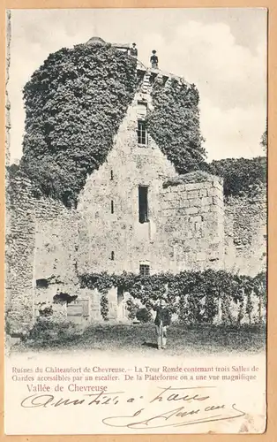 CPA Chevreuse, Ruines du Châteaufort de Chevreuse, La Tour Ronde, gel.