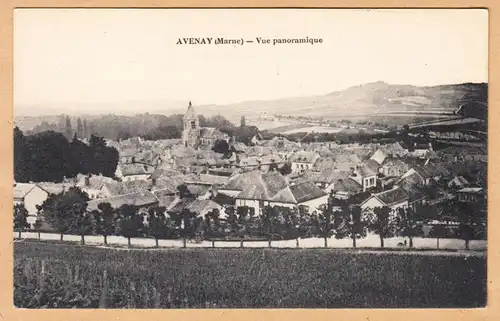 CPA Avenay, Vue panoramique, ungel.