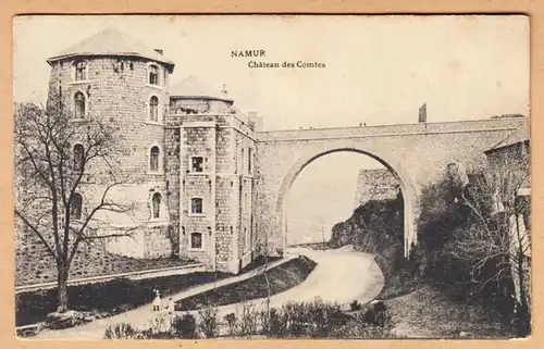 CPA Namur,Le Chateau des Comtes, gel.1910
