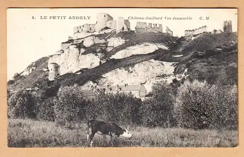CPA Les Andelys, Chateau gaillard, Vue densemble, ungel.