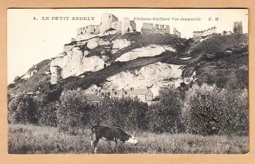 CPA Les Andleys, Chateau gaillard, Vue densemble, uns.