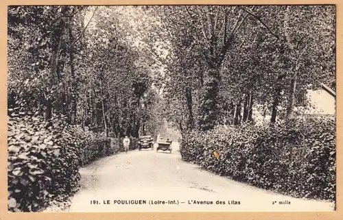 CPA Le Pouliguen, L'Avenue des Lilas, ungel.