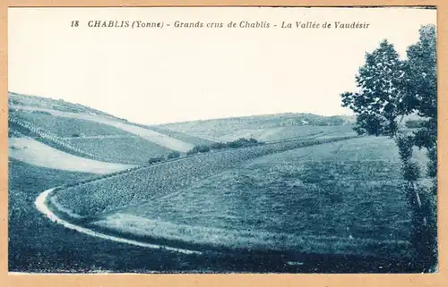 CPA Chablis, Grands crus de Chablis, La Vallee de Vaudesir, ungel.