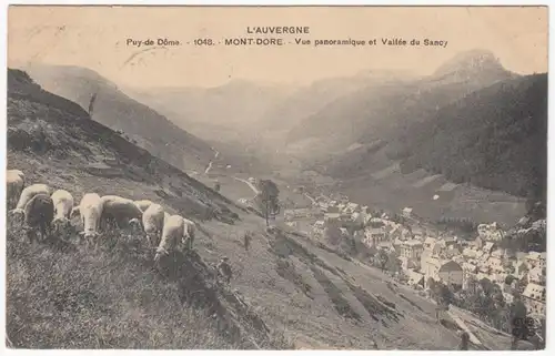 CPA Le Mont Dore, Vue panoramique et Vallee du Sancy, gel. 1911