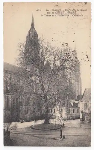 CPA Bayeux, L'Arbre de la Liberté dans la Cour des Tribunaux, en 1925