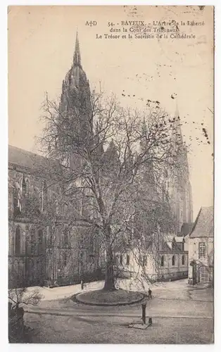 CPA Bayeux, L'Arbre de la Liberte dans la Cour des Tribunaux, gel. 1925