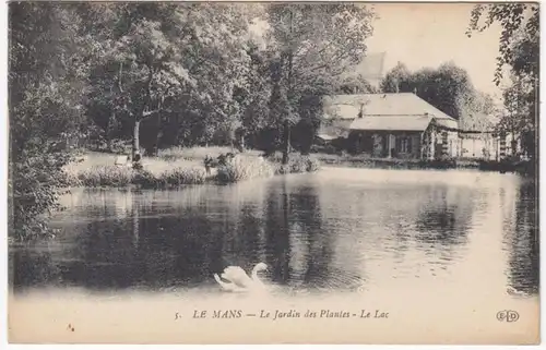 CPA Le Mans, Le Jardin des Plantes, Le Lac, ungel.