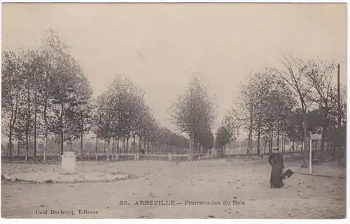 CPA Abbeville, Promenade du Bois, gel. 1905