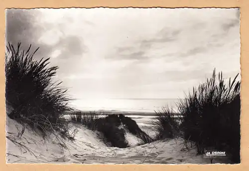 CPA Coucher de Soleil sur les Dunes, ungel.