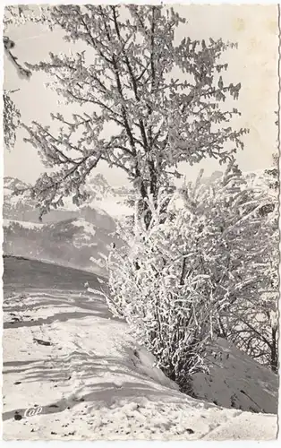 CPA Le Mont d'Arbois, Chains des Aravis, ungel.