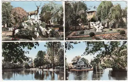 CPA Le Vésinet, Le Cherf, Les Ibis, Le Lac, gel.