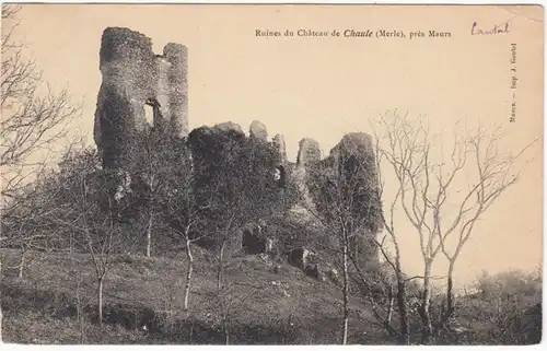 CPA Ruines du Château de Chaule, gel.