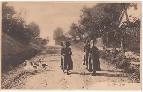 AK Bitschhofen, Frauen in Tracht mit Gänsen, ungel.