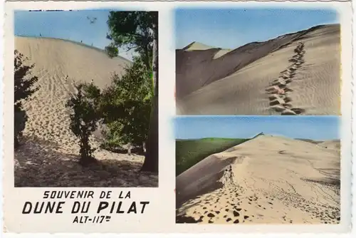 CPA Souvenir de la Dune du Pilat, en date de 1959
