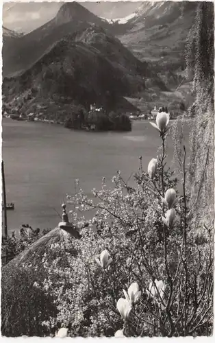 CPA Annecy, Partout Chante le Printemps, gel.