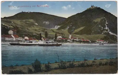 AK Vienne, Leopoldsberg avec Kahlenberg, Marinefeldpost, gel. 1917