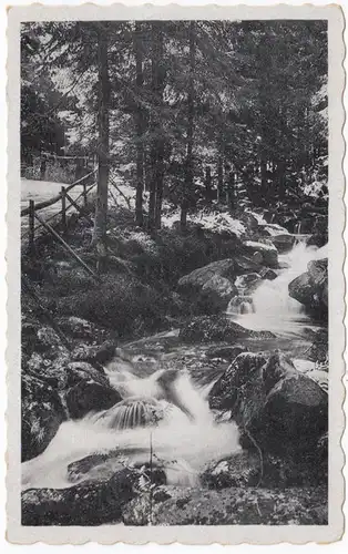 AK Bad Flinsberg, Im Steinbachtal, ungel.