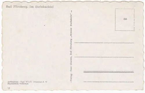 AK Bad Flinsberg, Im Steinbachtal, ohnl.