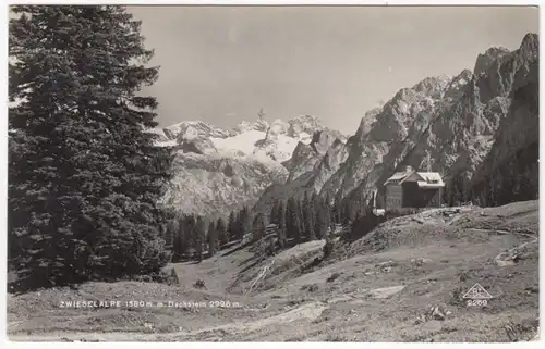 AK Zwieselalpe mit Dachstein, Schutzhaus und Pension Dachsteinblick gel. 1931
