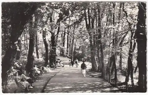 CP Bagnoles de l`Orne, L'Allee du Dante, gel. 1962