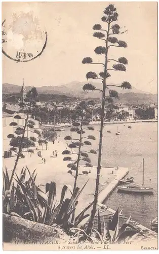 CPA Sanary-sur-Mer, Une Vue sur le Port à travers les Aloès, gel.