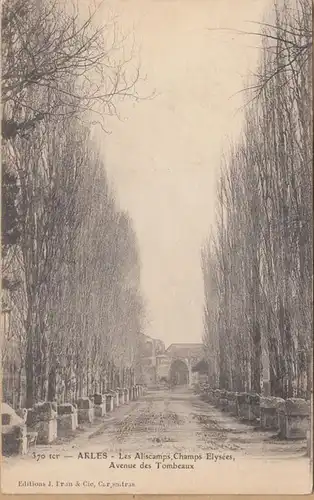 CPA Arles, Les Aliscamps, Champs Elysées, Avenue des Tombeaux, ohne.