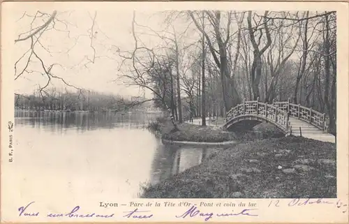 CPA Lyon, Parc de la Tete d'Or, Pont et coin du lae, gel. 1903