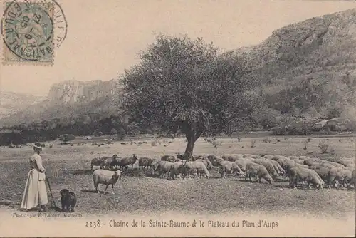 CPA Chaine de la Sainte-Baume et le Plateau du Plan d'Aups, gel. 1905