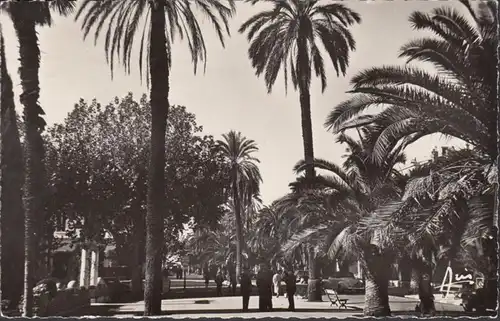 CP Hyeres, L' Avenue de Belgique.