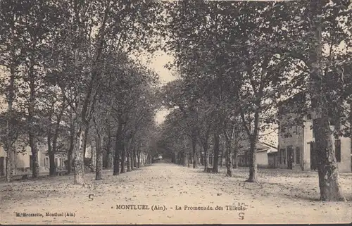 CPA Montluel, La Promenade des Tilleuls.