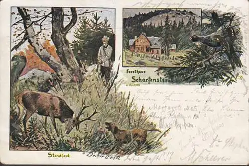 AK Ilsenburg, Forsthaus Scharfenstein, Standlaut, gelaufen 1902