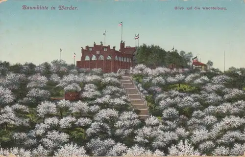 AK fleur de l'arbre à Werder, vue sur le Wachteiburg, ohnl.