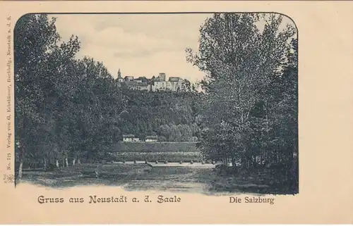 AK Gruss de Neustadt a.d. Saale, Die Salzburg, ohnl.