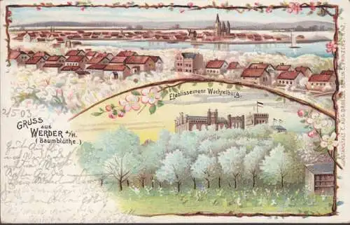 AK Gruse de Werder, fleur des arbres, vue d'ensemble, établissement Wachtelburg, gel. 1903