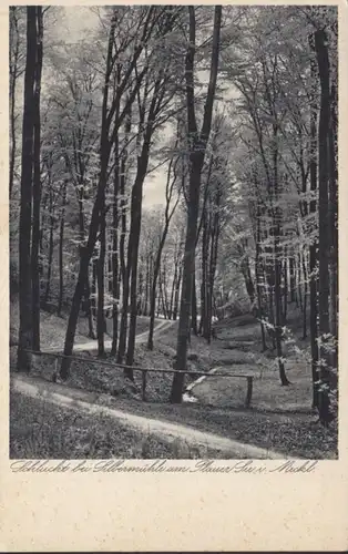 AK Brandenburg Schlucht bei Silbermühle am Plauer See, gelaufen 1932