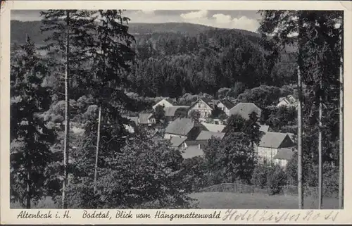 AK Altenbrak, Blick vom Hängemattenwald, gelaufen 1936