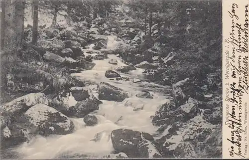 AK Wernigerode Steinerne Renne, gelaufen 1904