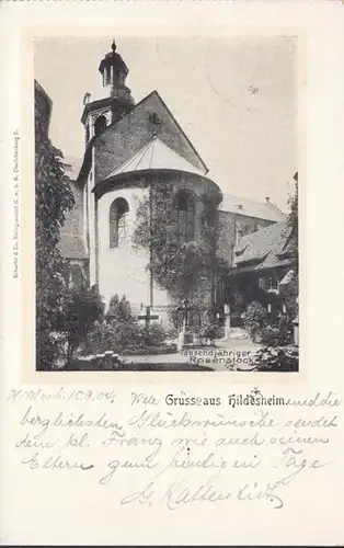 AK Gruss de Hildesheim Rosenstock millénaire, couru en 1904