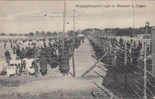AK Wünsdorf Kriegsgefangenen-Lager, Gefangene hinter Stacheldraht, gelaufen 1914